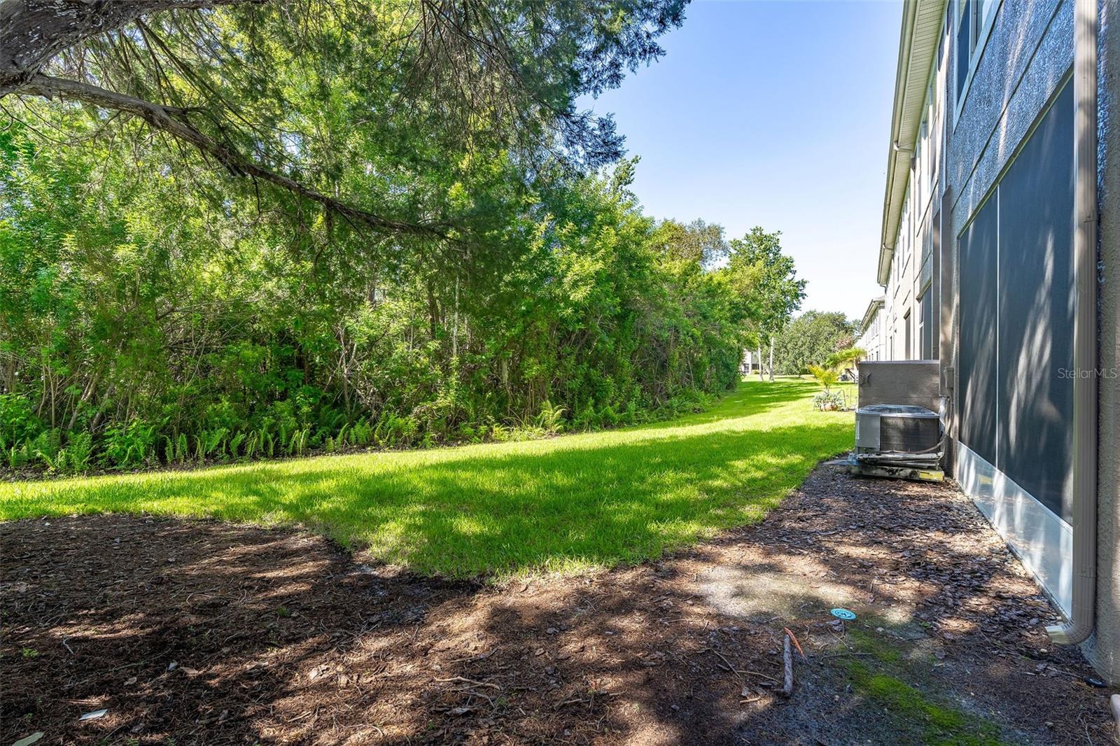 WINDSOR PLACE AT CITRUS PARK P - Residential
