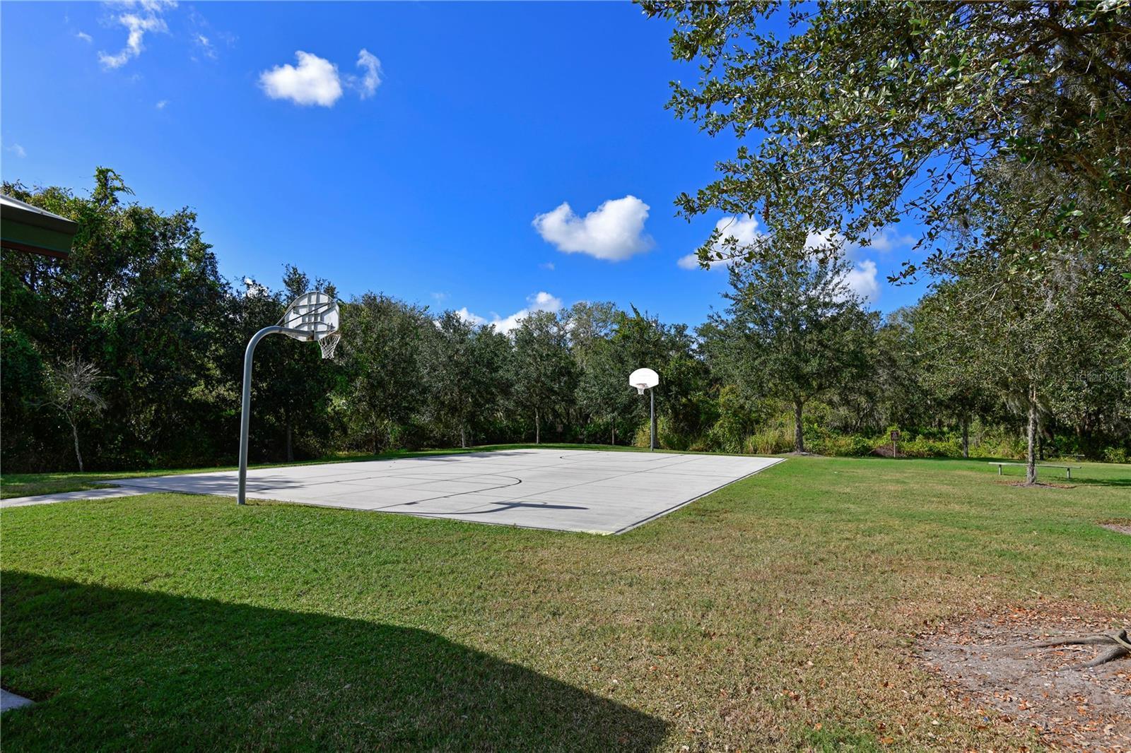 OAKLEAF HAMMOCK PH IV - Residential