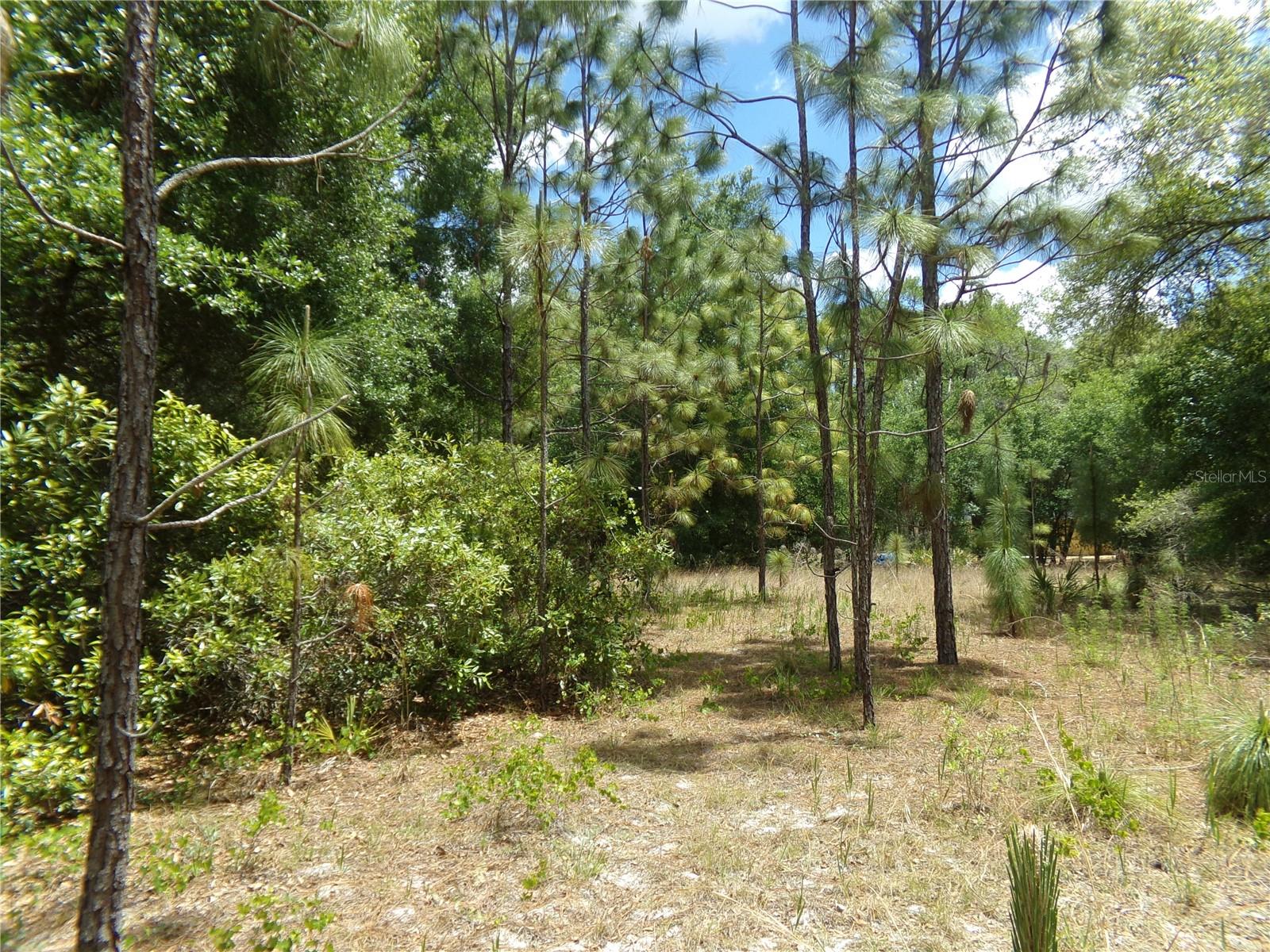 RIDGE MANOR ESTATE - Land