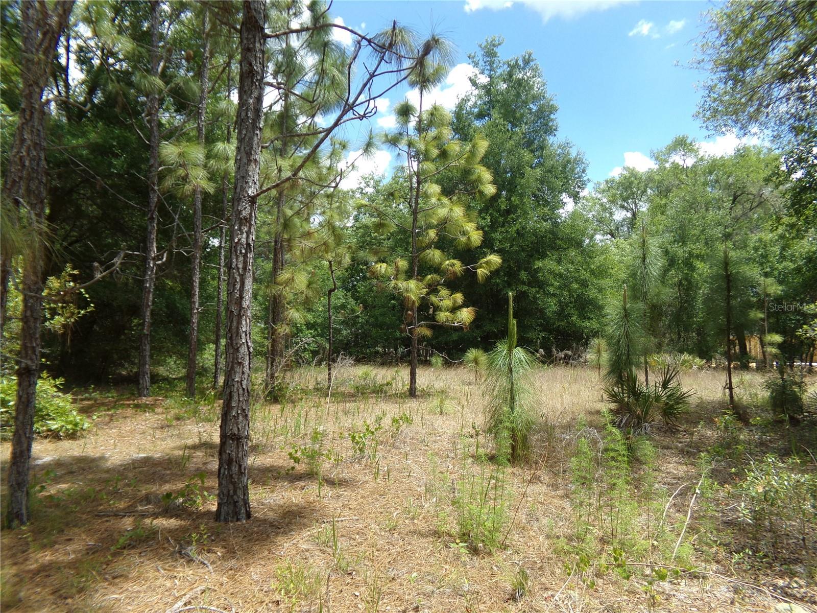 RIDGE MANOR ESTATE - Land