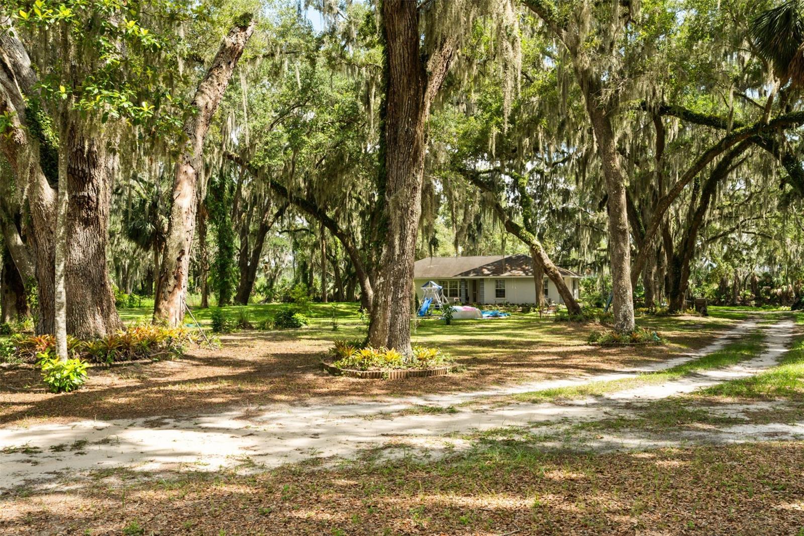 JACKSONS RIVER COUNTRY ESTATES - Residential