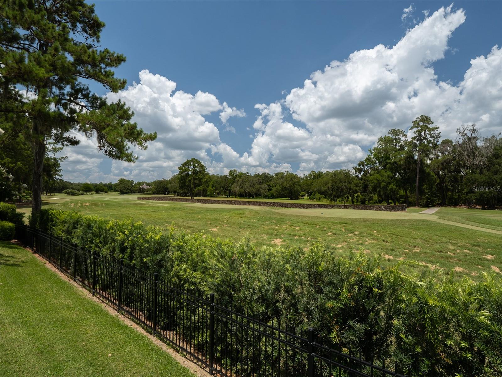 GOLDEN OCALA - Residential