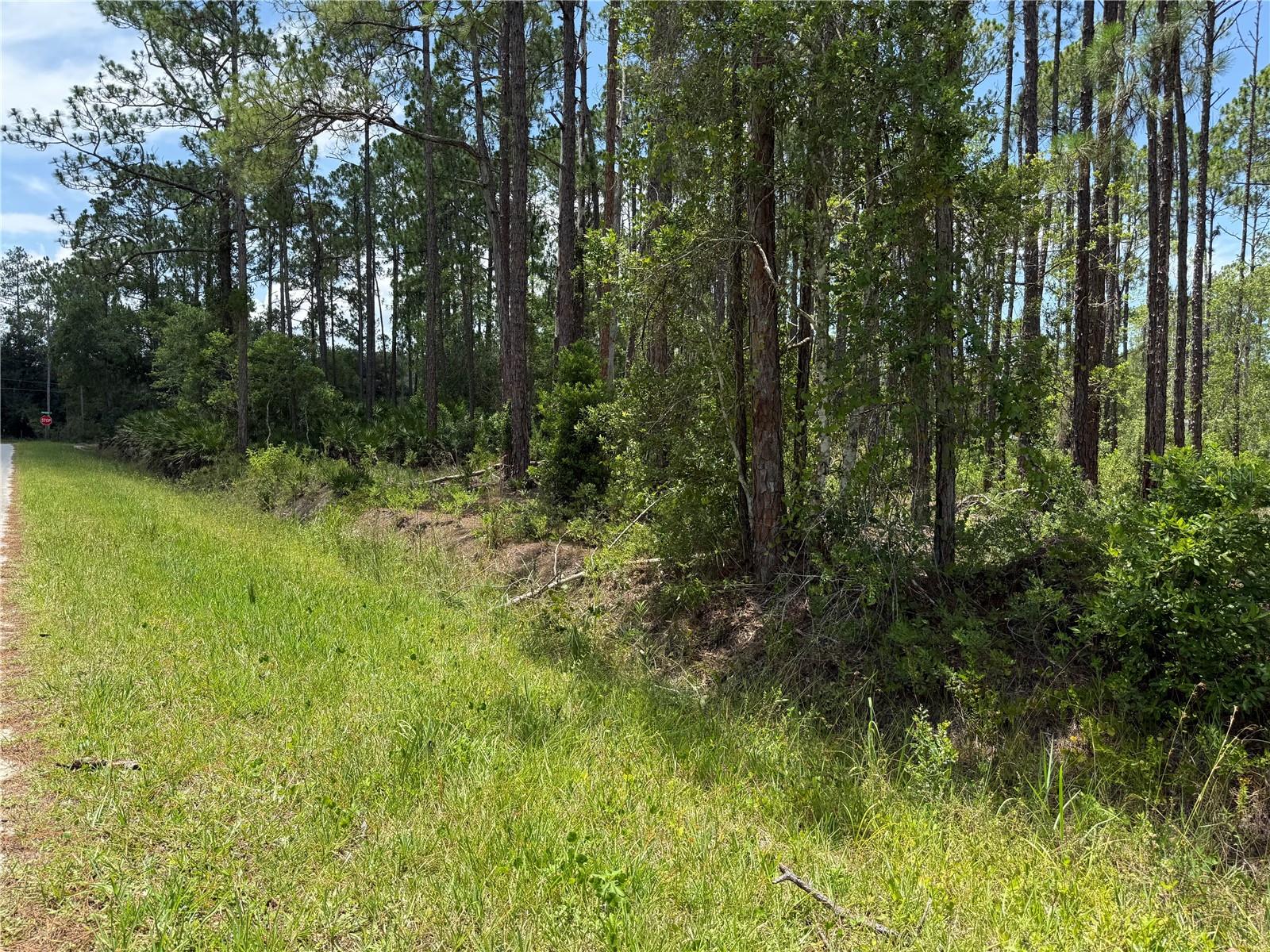 This beautiful 1.11-acre buildable lot offers the perfect blend of privacy and peaceful country living. Located in a quiet area with plenty of space to spread out, this property provides endless possibilities for your future home, workshop, or storage. With room for all your toys — boats, RVs, trailers, and equipment — you can enjoy the freedom of no HOA and the convenience of being just minutes from Palm Coast, shopping, and beaches. A rare opportunity to own a spacious parcel in a serene setting.