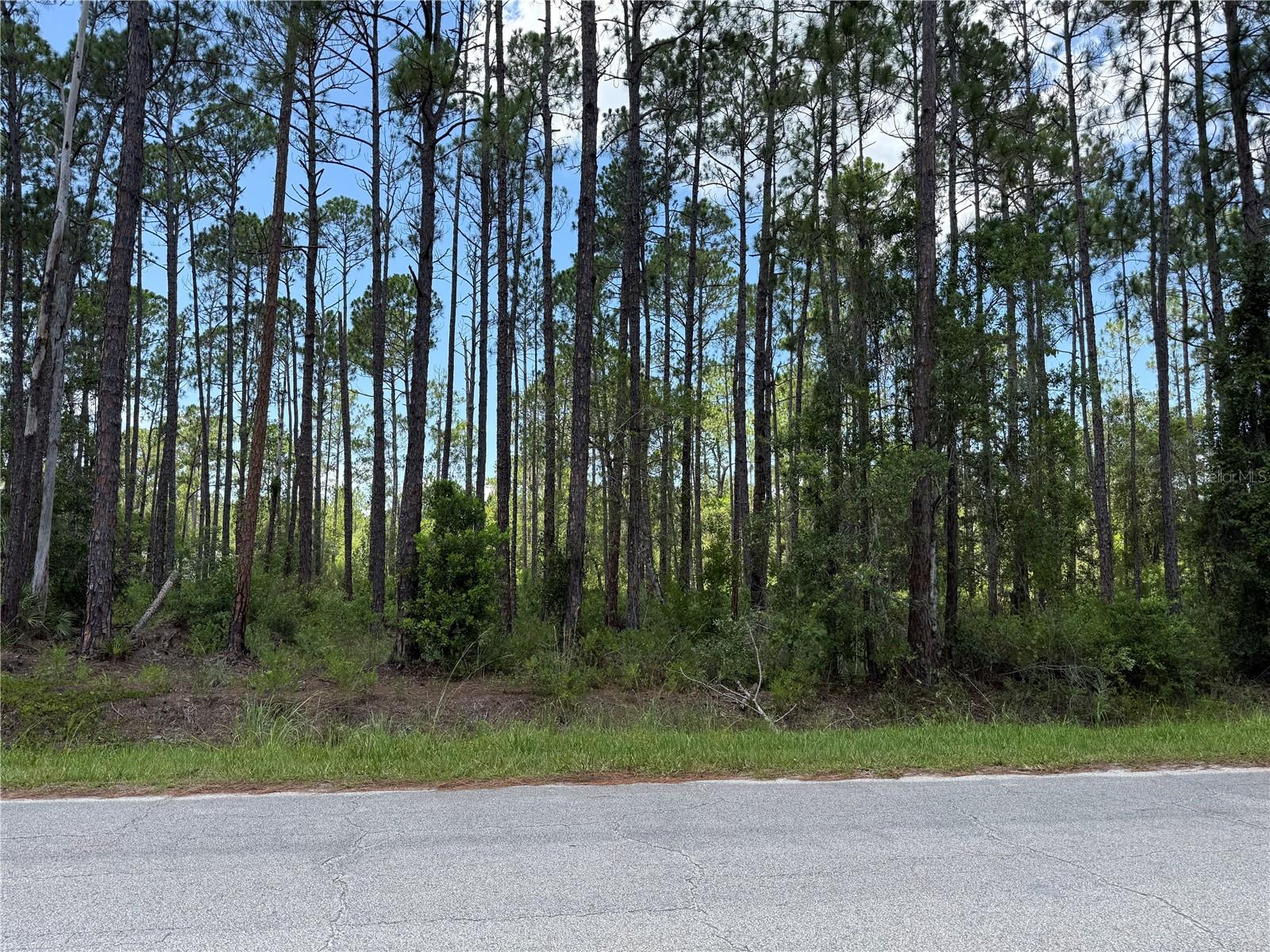 DAYTONA NORTH SUB - Land
