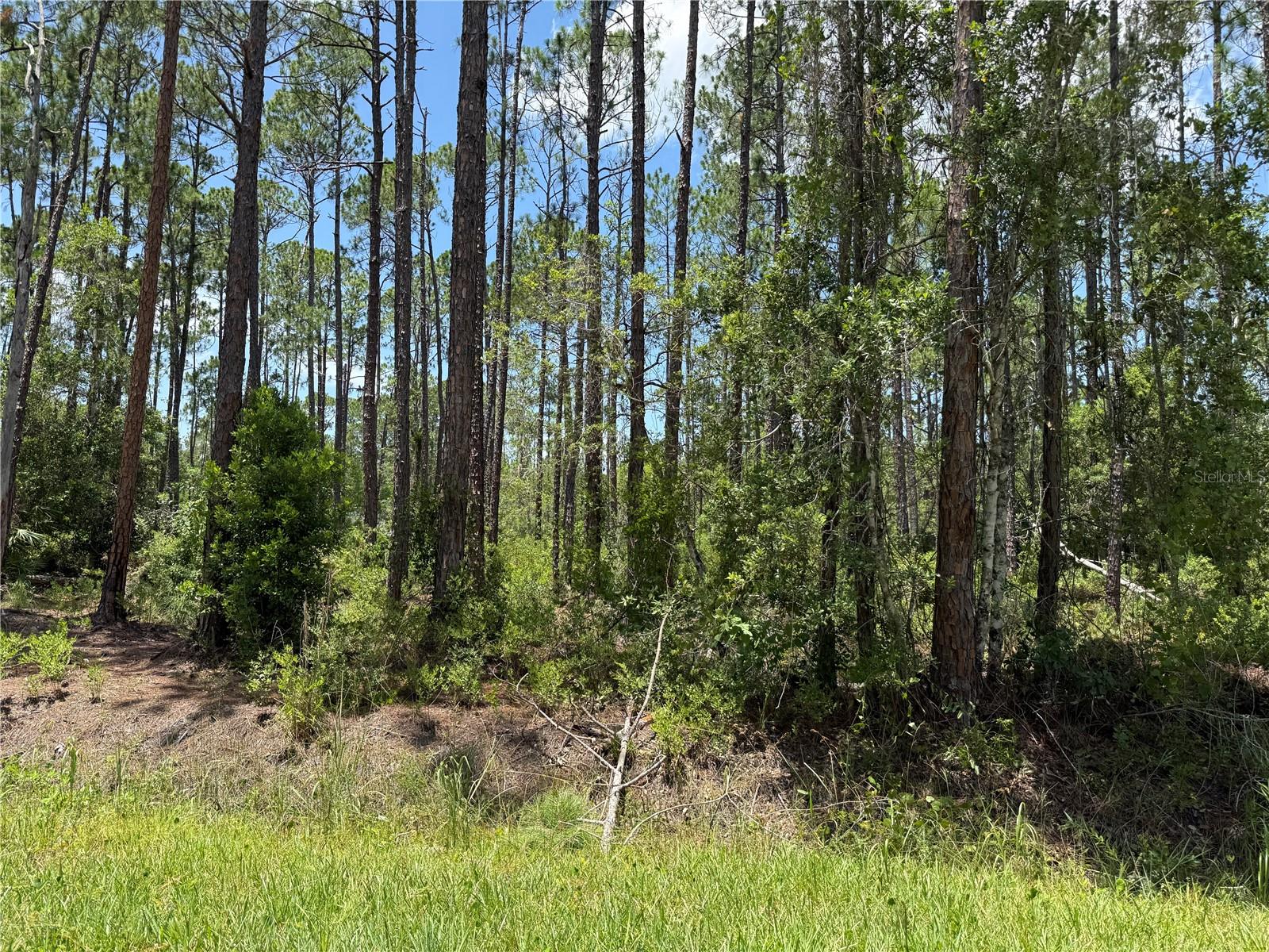 DAYTONA NORTH SUB - Land