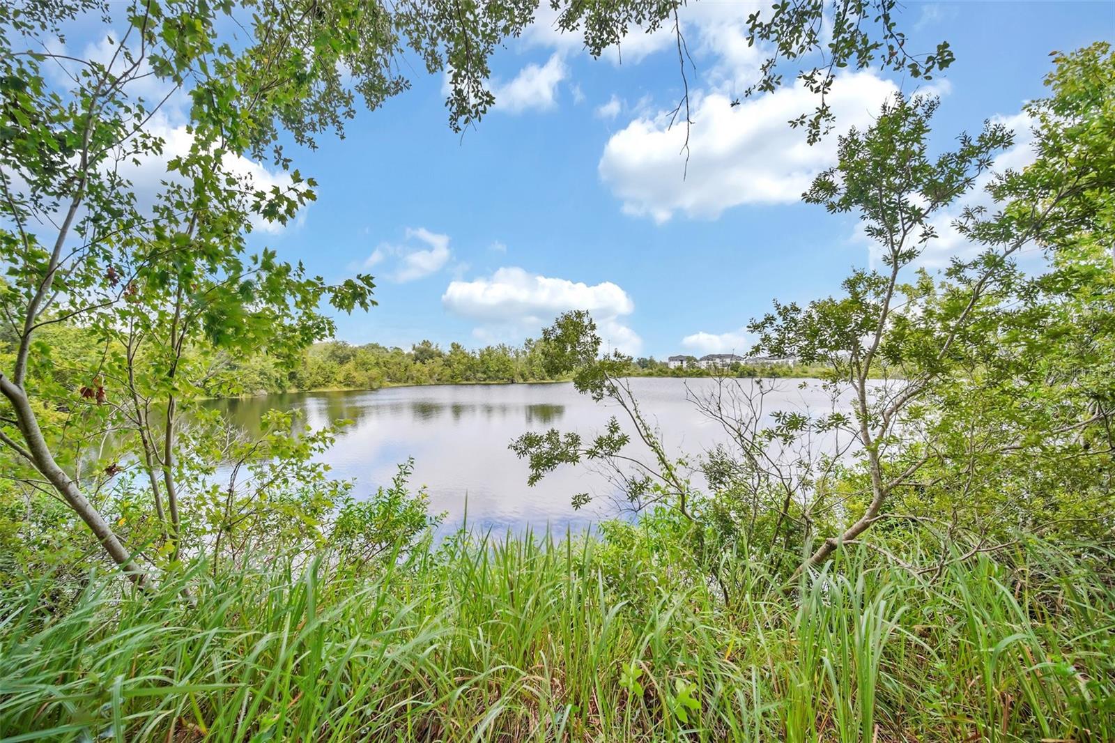 BRIDGEWATER CROSSING PH 01 - Residential