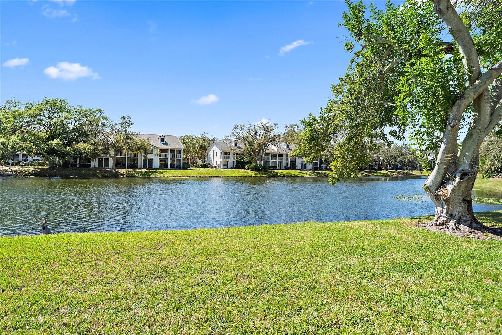 GARDENS AT PALM-AIRE COUNTRY CLUB II - Residential