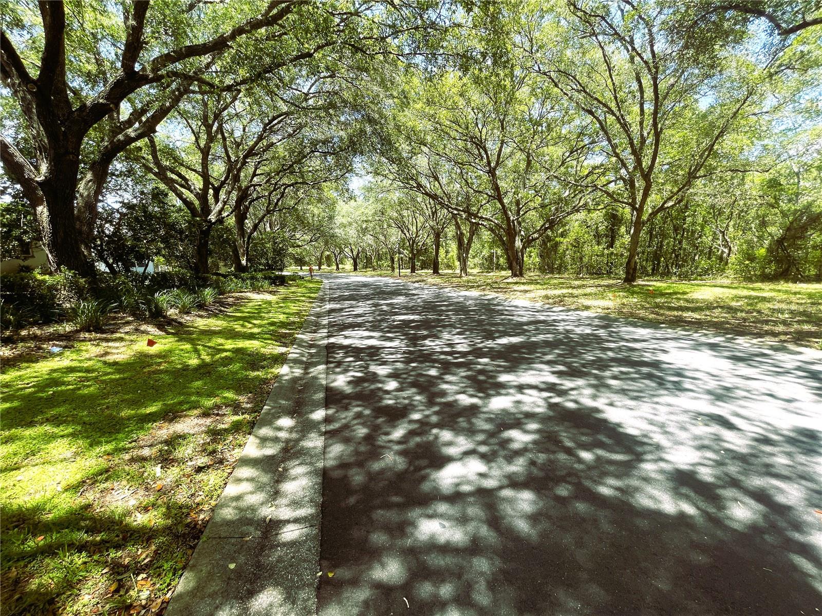 LAUREL RIDGE 01 - Residential
