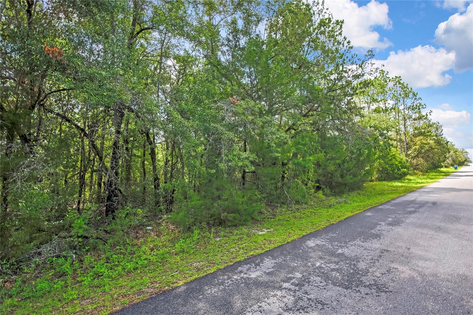 Ready to build you Dream Home!! Lots of Beautiful trees for shade Plus you are on a paved road. This property is waiting for you, Located in a highly desirable area.  Close to local shopping, restaurants, hospitals and easy access to major highways to Tampa and Orlando, gulf beaches, along with attractions in Florida's Nature Coast.