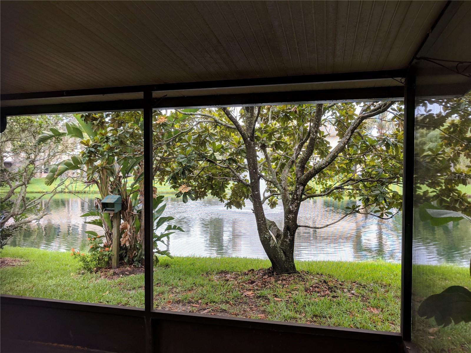 EMERALD BAY - Residential Lease