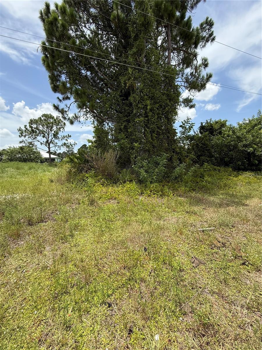 LEHIGH ACRES - Land