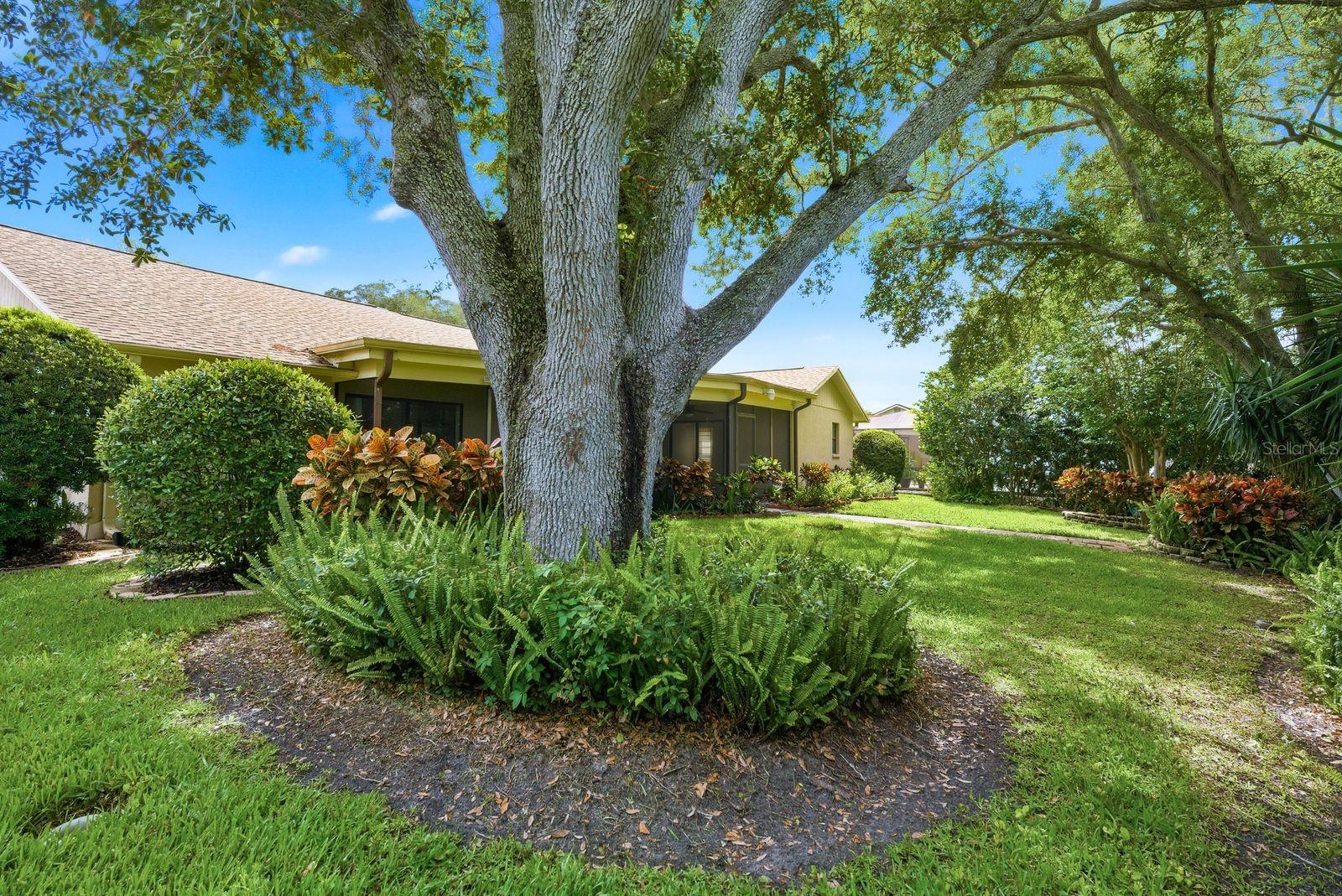 ARBOR GLEN - PH ONE - Residential