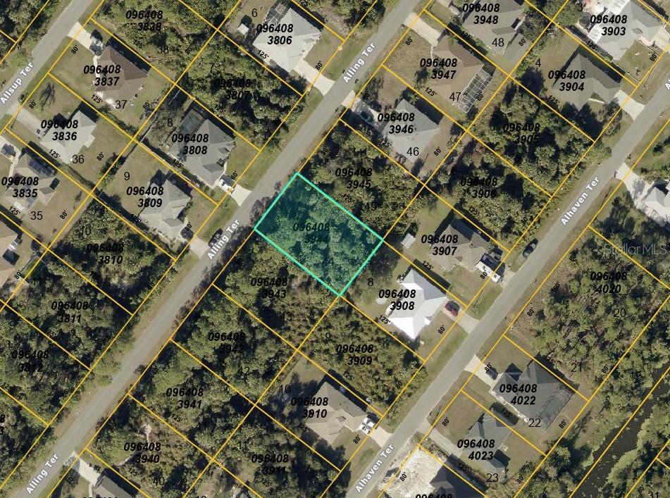 Check out this desirable lot for sale in growing North Port, ideal for your future home or investment!  This lot has electricity available and is in preferred flood zone X so no flood insurance should be required if you build!  Great location central to Sarasota and Fort Myers and near Toledo Blade Boulevard shopping plazas, Imagine School, restaurants and medical facilities and just a short drive to I-75 for easy commuting.  Owner has other lots for sale as well so please inquire about a package deal!