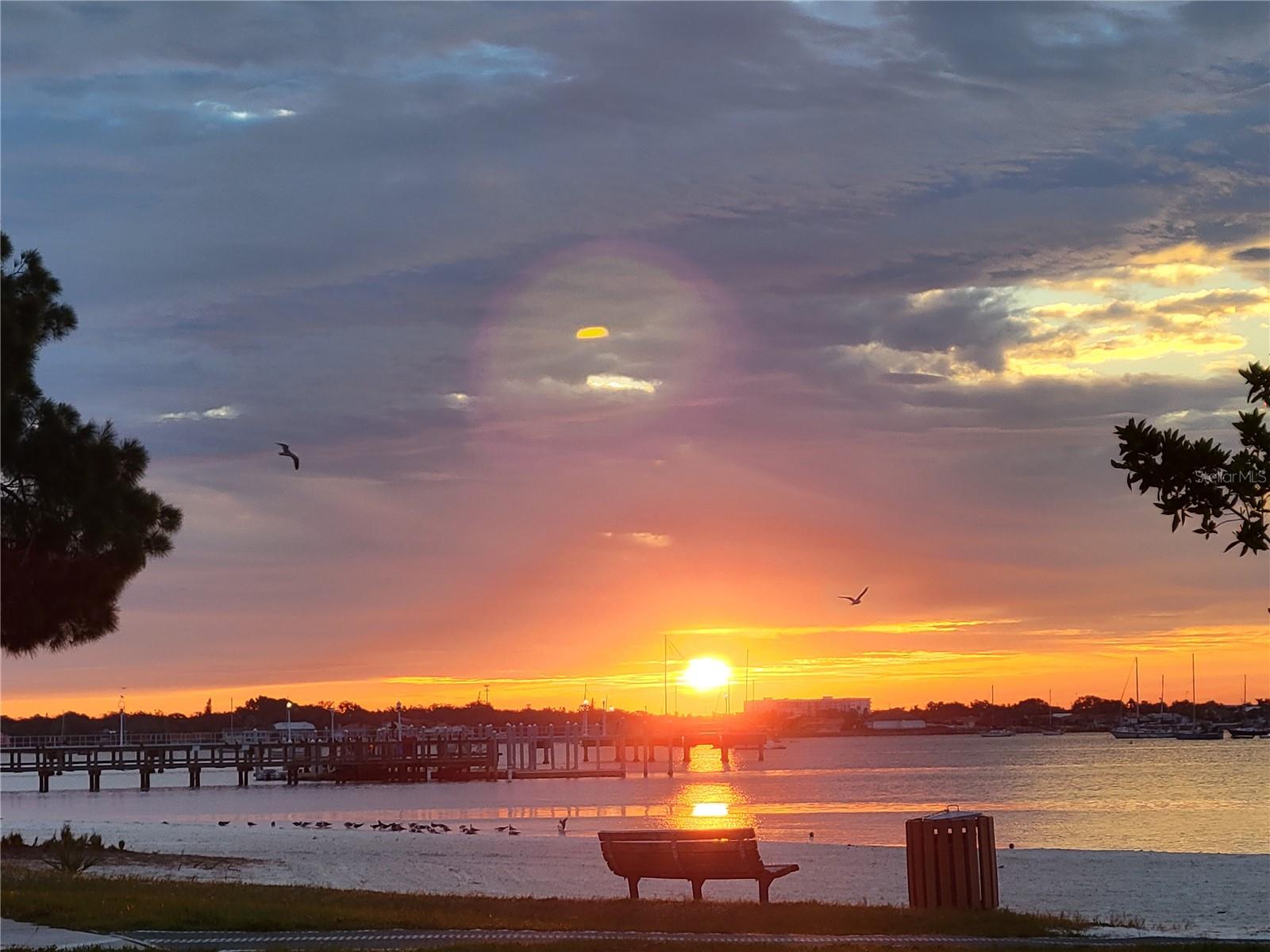 BEACHWALK CONDO GULFPORT - Residential