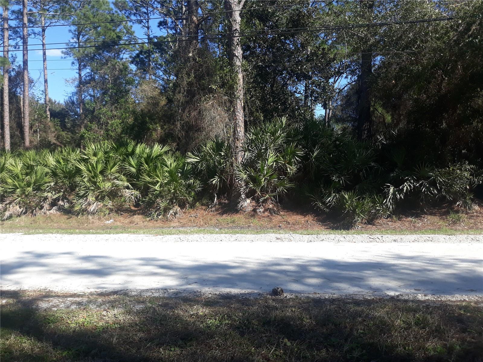 DAYTONA PARK ESTATES SEC B - Land
