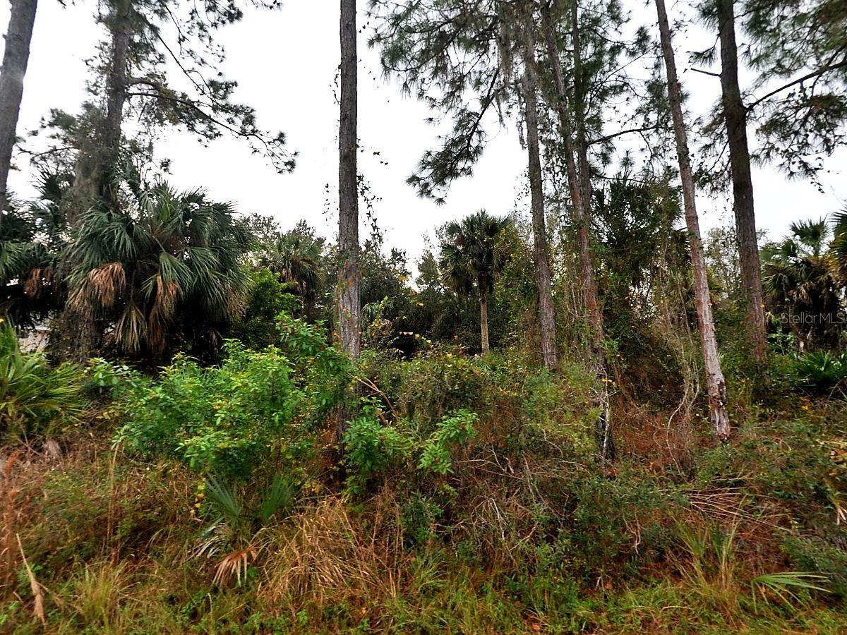 Discover the freedom to create your dream home on this beautiful 0.23-acre lot conveniently located just off Price Blvd in North Port! With easy access to Port Charlotte, shopping, restaurants, schools, and I-75, this property offers the ideal balance of privacy and convenience. The paved street and nearby electrical connections make it simple to start building. No HOA, no deed restrictions—just a clean canvas waiting for your vision to unfold. Whether you’re ready to design your forever home or invest in the thriving North Port market, this lot offers endless potential to turn your blank slate into a dream come true!
