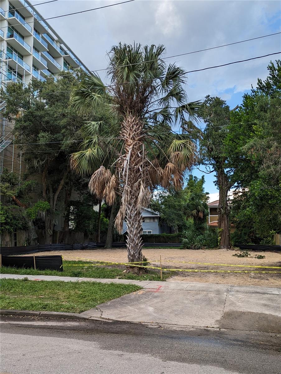 The 0.22-acre parcel is approved for five (5) dwelling units. A rare opportunity to purchase a vacant lot for new construction within two city blocks of Lake Eola (downtown Orlando's crown jewel city park). This is a premier location adjacent to Thornton Park historic district (restaurants, bars, retail, residential). Walkscore of 93 is classified as Walker's Paradise.  The parking requirements for this location is only 1 parking space per dwelling unit. Electricity, water and sewer are already available on the property! Right in the heart of Orlando with easy access to everything you love about DTO from the Farmer's markets and events around Lake Eola to theatre at Dr. Phillips center of performing arts and beyond. All of this within walking distance of Thornton Park, Lake Eola, Constitution Green Dog Park, and the Dr. Phillips Performing Arts Center — and just minutes from Orlando Health, the Kia Center, and some of the city's best dining and shopping.