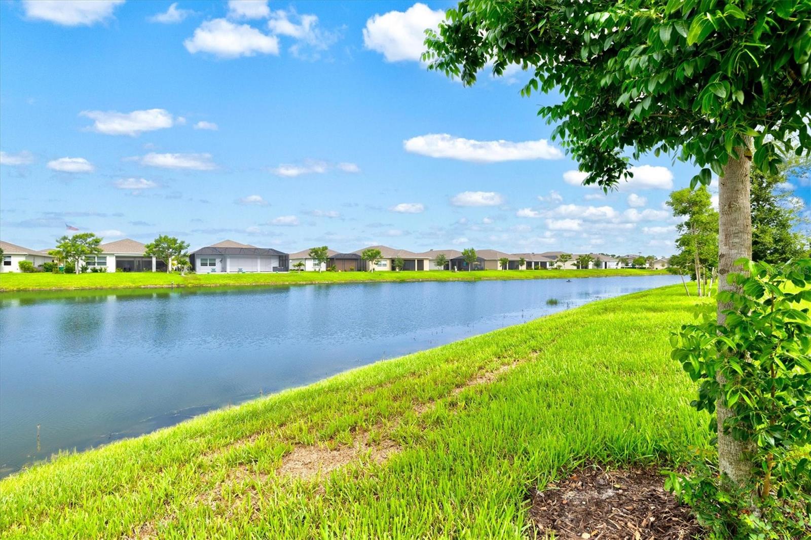 COVE AT WEST PORT - Residential