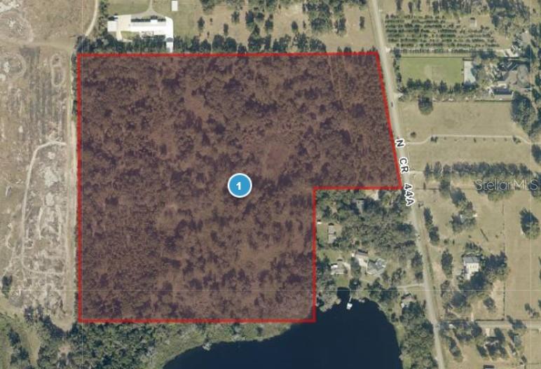 Gorgeous parcel available for many uses. Homesite, investment, agriculture or development. 115 acre parcel to west is available from a different Seller. Good frontage on CR44A north, a County maintained paved road. Gorgeous oak trees and a small pond on this property with some lake front on the south.
.
