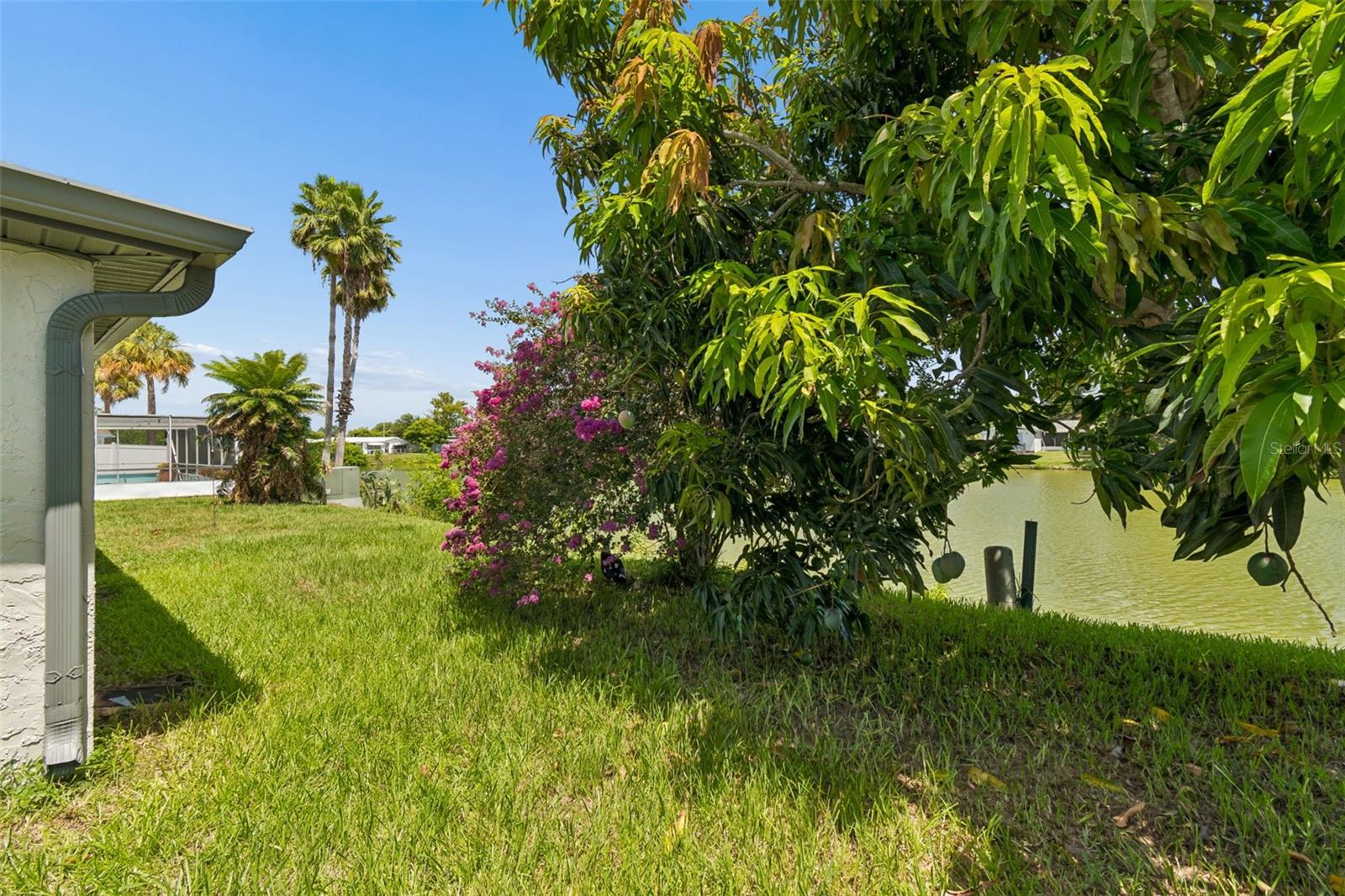REGENCY PARK - Residential