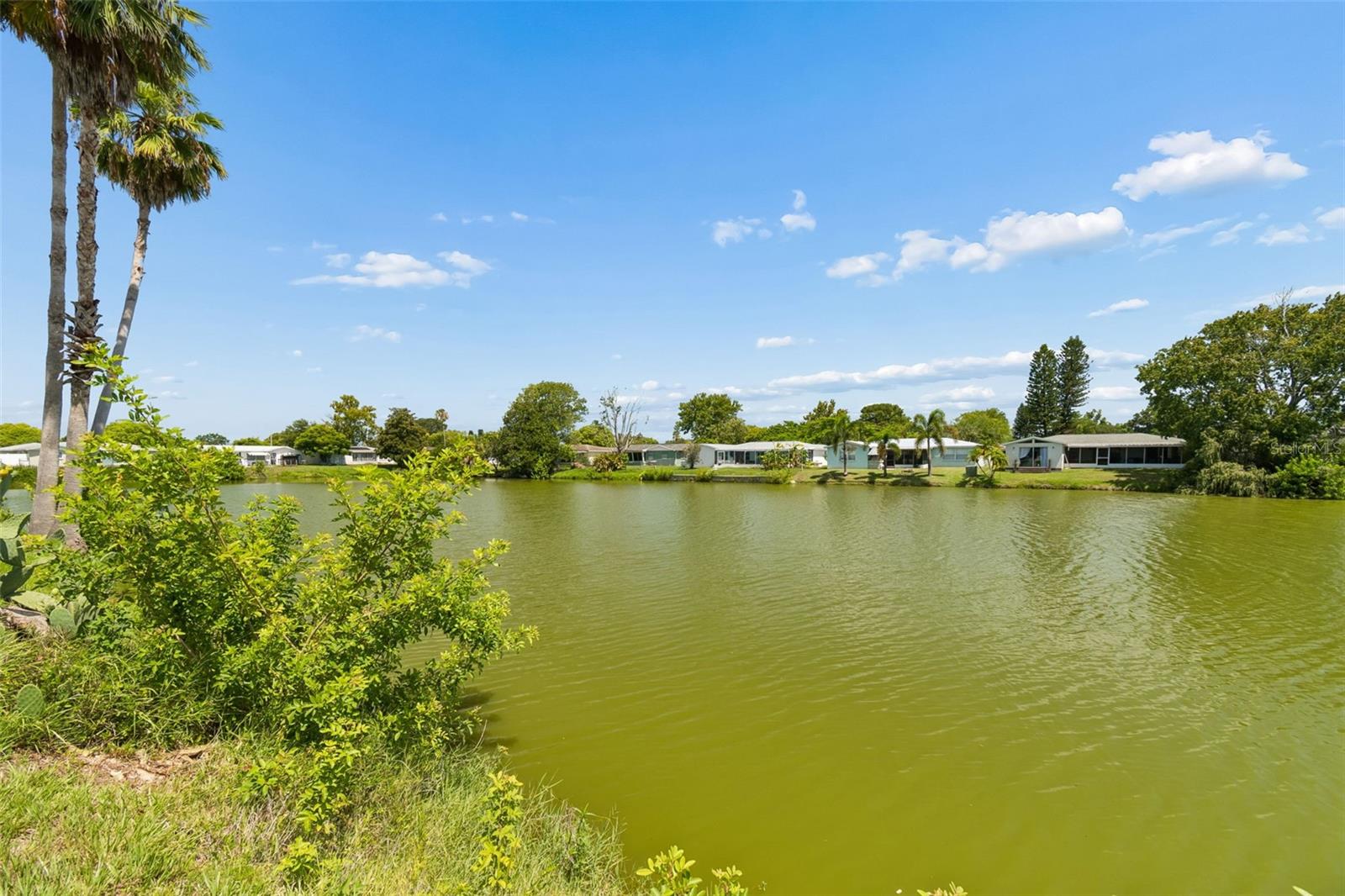 REGENCY PARK - Residential