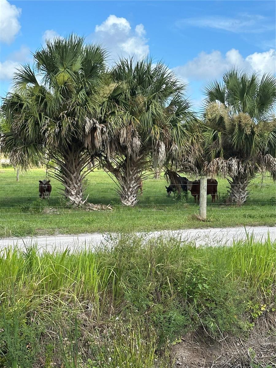 ACREAGE - Residential