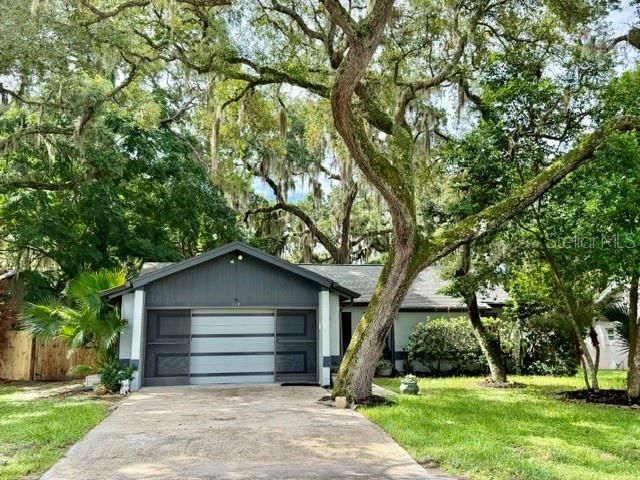 RAMBLEWOOD - Residential