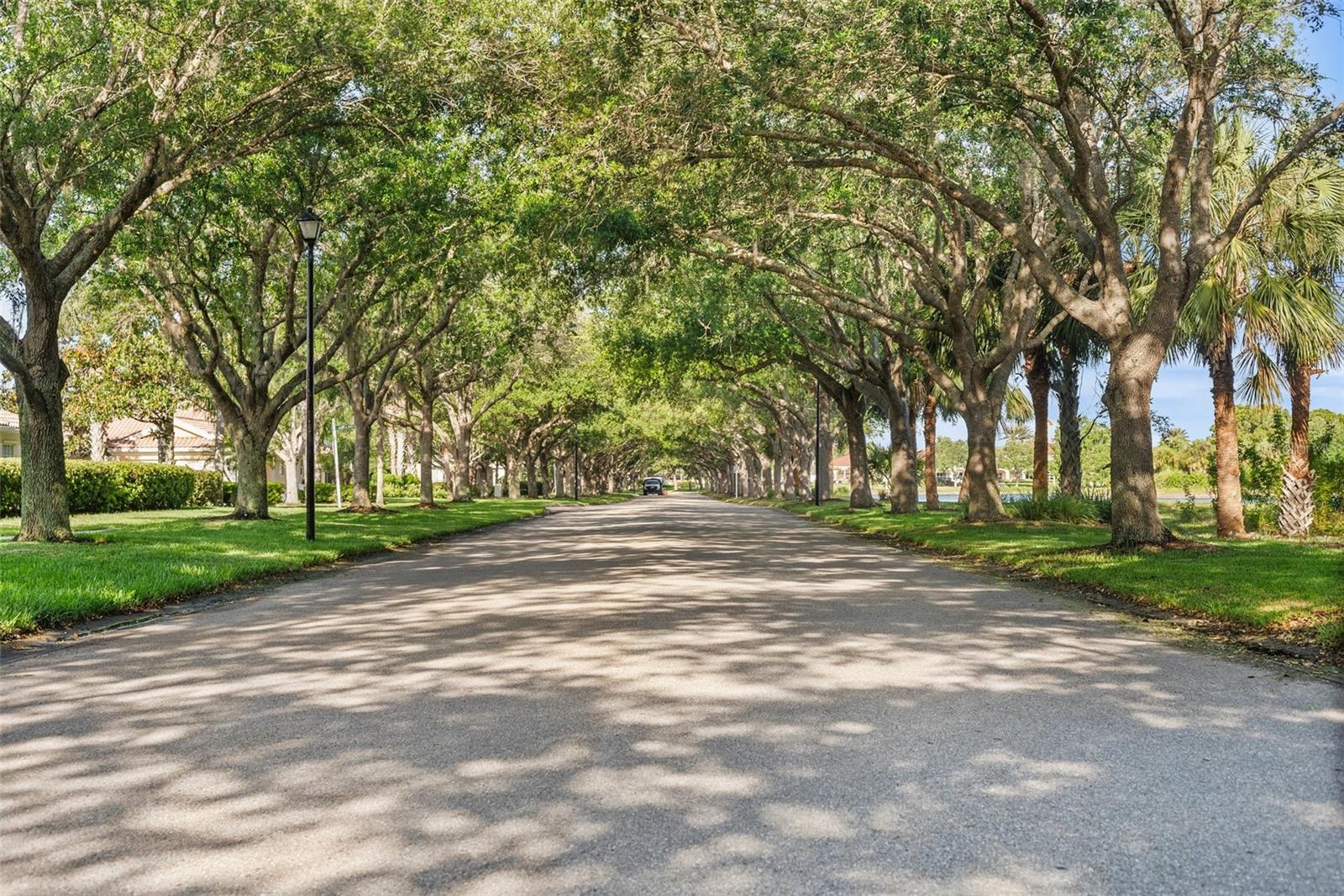 VILLAGEWALK - Residential