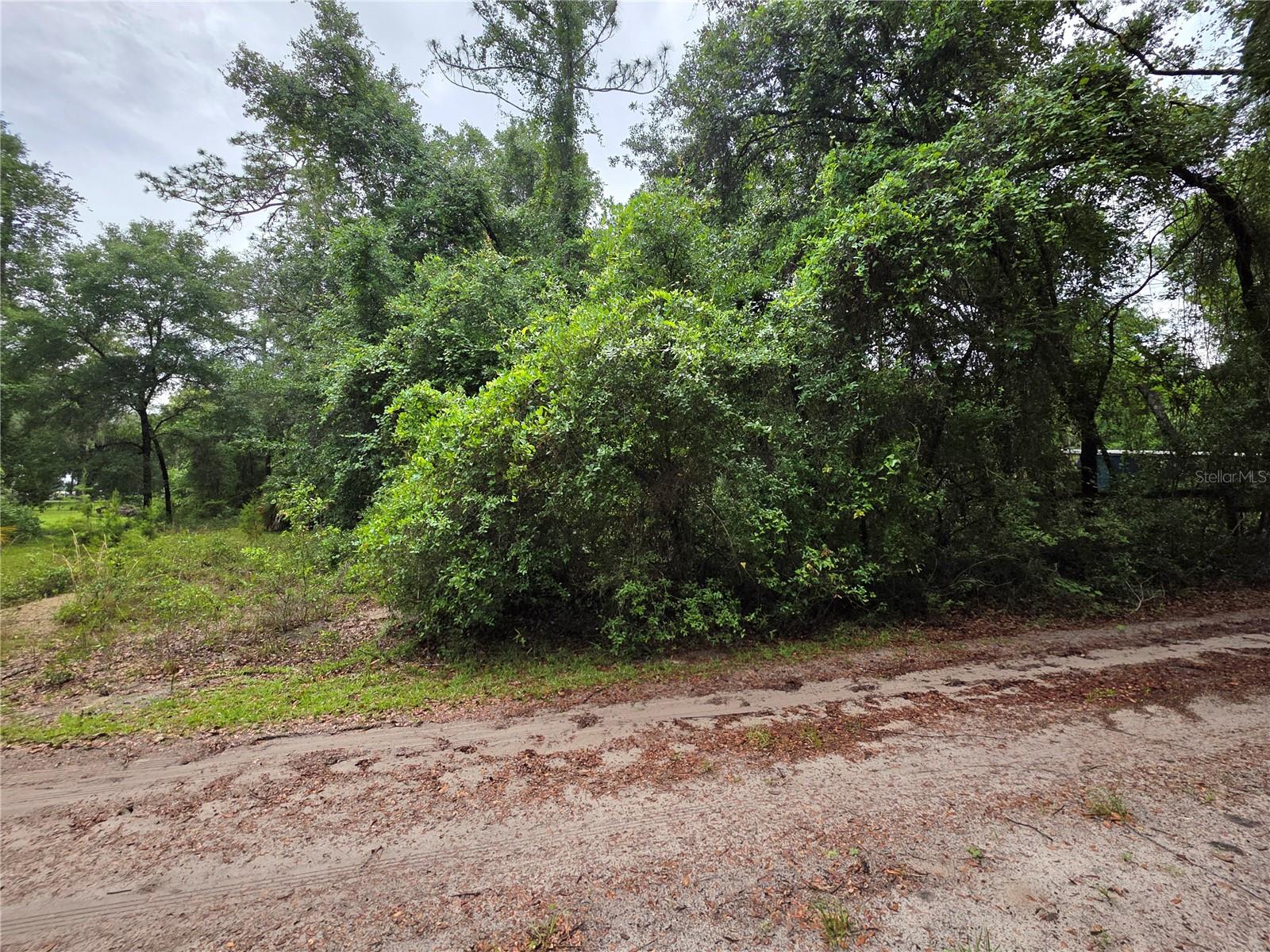 MILL CREEK CAMPSITES 01 - Land
