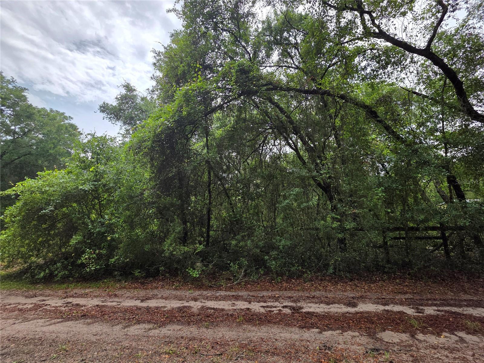 MILL CREEK CAMPSITES 01 - Land