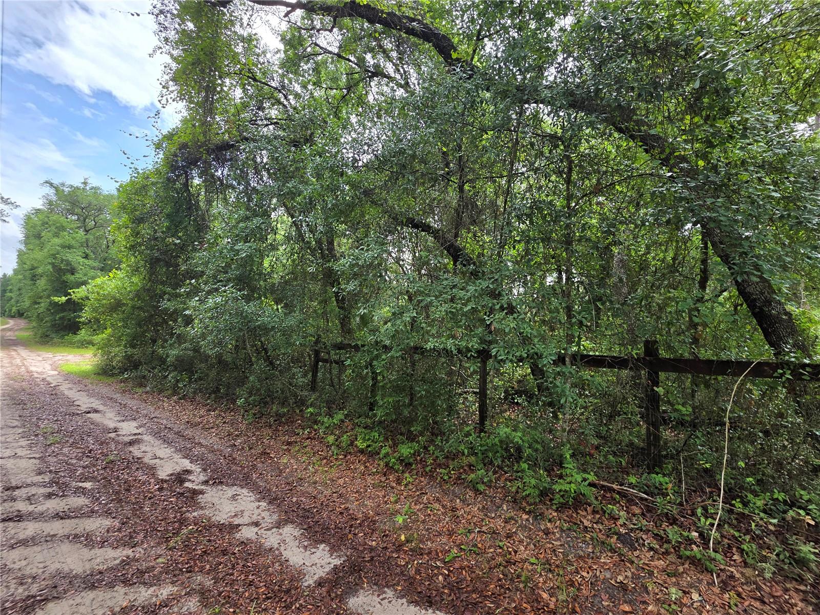MILL CREEK CAMPSITES 01 - Land