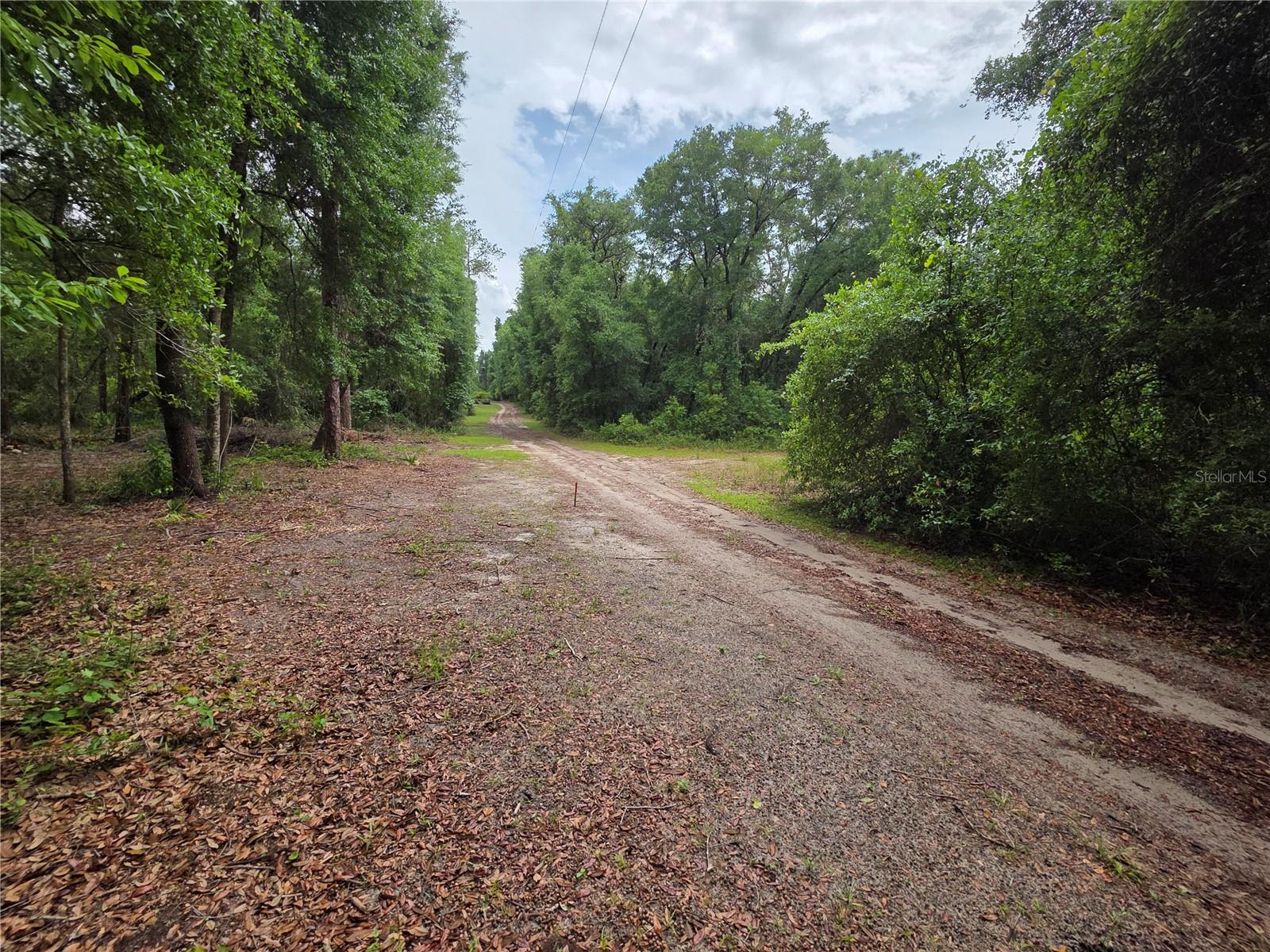 MILL CREEK CAMPSITES 01 - Land