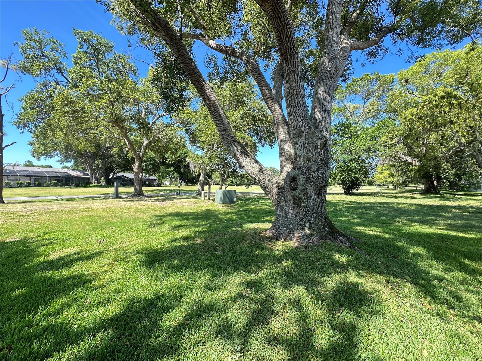 BEACON WOODS FAIRVIEW VILLAGE - Residential