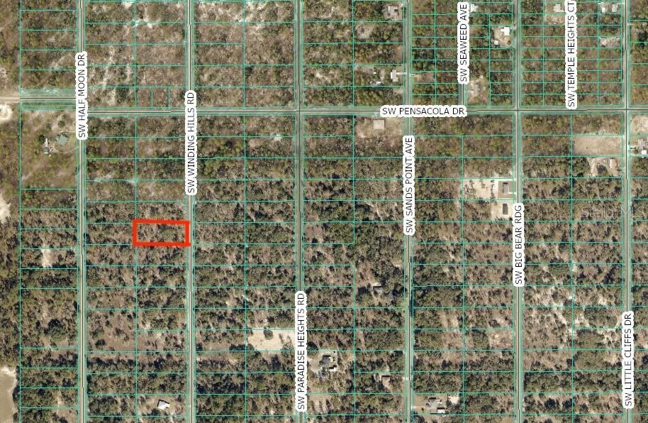 No HOA...Come build your dream home in beautiful Rainbow Lakes Estates. High and Dry 0.99 acre lot, sits on a beautifully wooded landscape with a paved road. Just minutes from the community park, lakes and the amazing Rainbow River. Quick access to restaurants, shopping and a short drive to the Gulf. 30 minutes to Ocala and the World Equestrian Center. Zoned R1 Residential homes only. Make Rainbow Lakes Estates the community to call home.