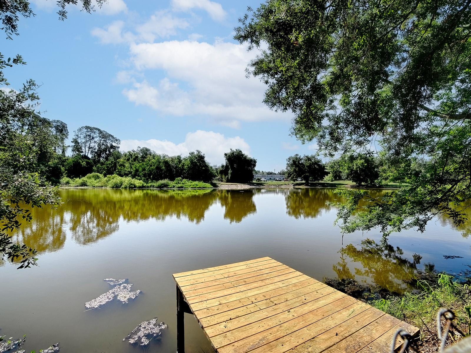 LEESBURG LAKEWOOD PARK - Residential