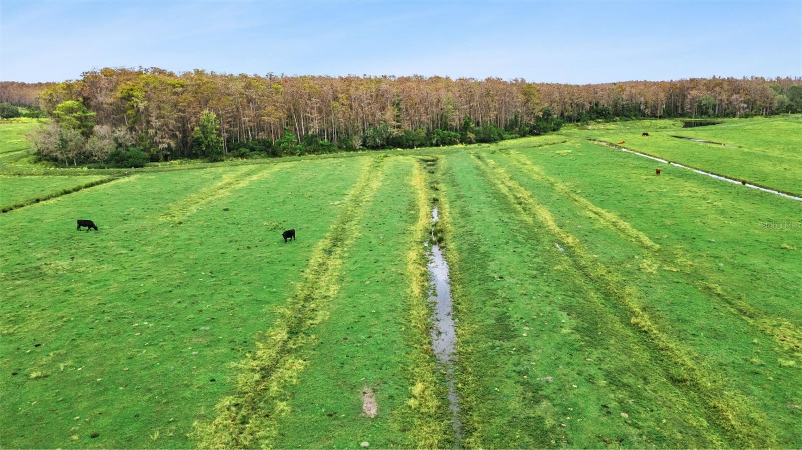 ACREAGE & UNREC - Land