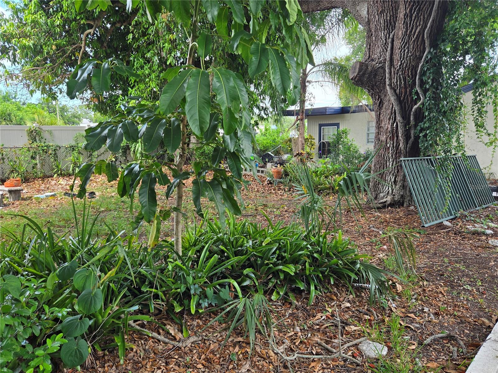 ACRE & UNREC PLAT - Residential