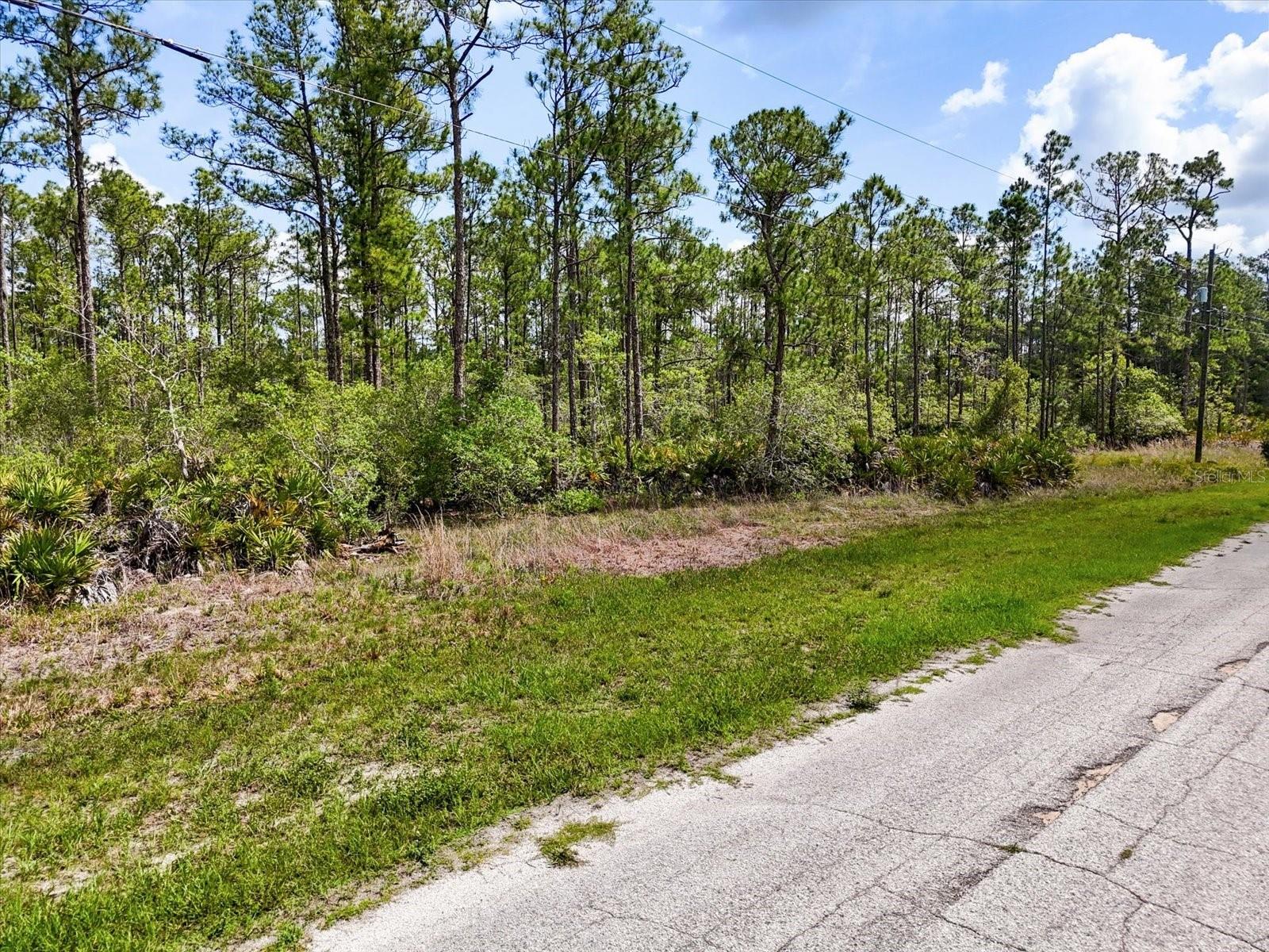 Come Build Your Florida Dream!

Welcome to Lot 61 Meadowlark Blvd — a rare opportunity to own 1.74 acres of prime Florida land in the highly sought-after Indian Lake Estates community. For those looking for even more space to create their dream estate, the adjacent LOT 62 1.74-acre lot is also available, offering a combined total of 3.48 acres.

Nestled in the Woodlands section of Indian Lake Estates, this property invites you to design and build your forever home in a serene natural setting where Florida living truly shines. Whether you're ready to build now or invest for the future, this lot offers incredible potential.

Community Highlights:

Situated around the 7,500-acre Lake Walk-In-Water — one of Florida's top bass fishing lakes

Private community beach, boat ramp, marina, and the longest freshwater fishing pier in Florida

18-hole championship golf course, basketball & tennis courts

23,000 sq.ft. clubhouse with café, fitness room, pro shop, post office, library, and churches

Lifestyle Perks:

Peaceful country living surrounded by deer, wild turkey, cranes, and native Florida wildlife

Just 20 miles east of Lake Wales for shopping, dining, and local conveniences

Only 1 hour to Orlando, Disney, Tampa, Busch Gardens, and some of Florida’s best Gulf Coast beaches

Whether you envision quiet mornings fishing, afternoons on the golf course, or simply enjoying the peaceful sounds of nature, Indian Lake Estates offers a lifestyle where tranquility meets convenience.

Don’t miss your chance to secure this beautiful homesite in the heart of Central Florida. Buy one lot or both to maximize your space and your vision.