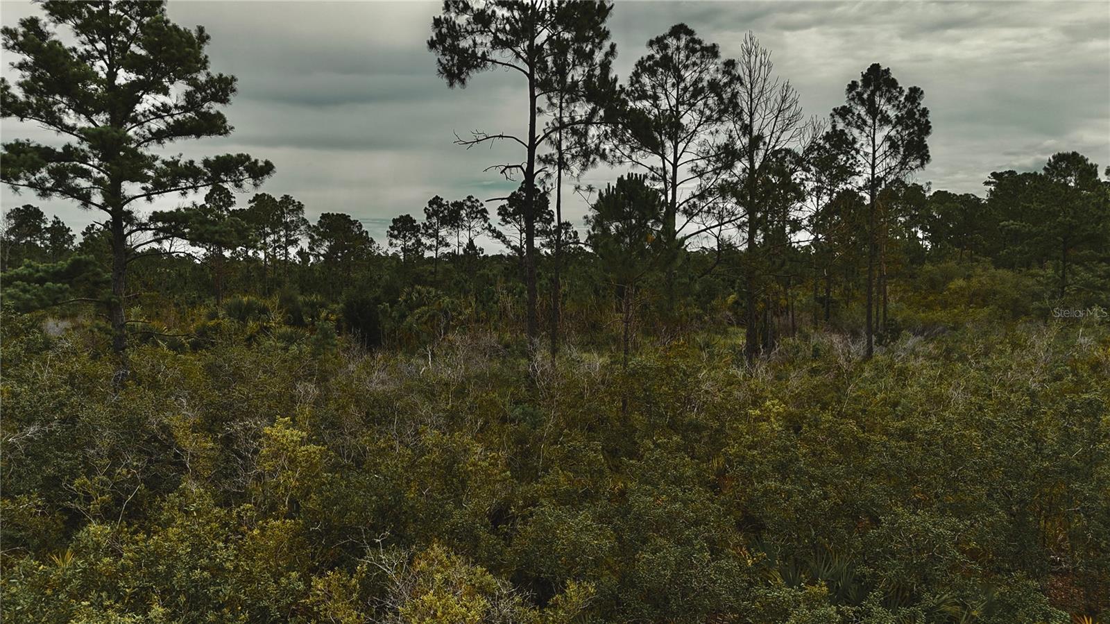 ISLE/PALMS - Land