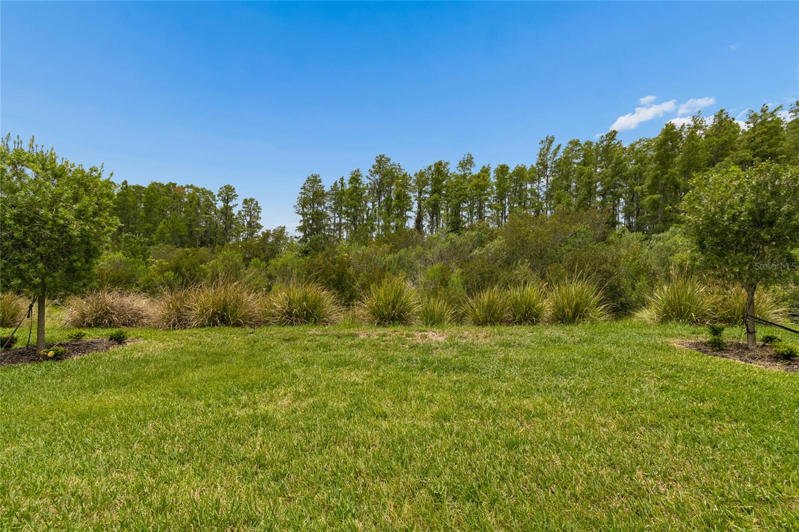 ESPLANADE/WIREGRASS RANCH PH I - Residential