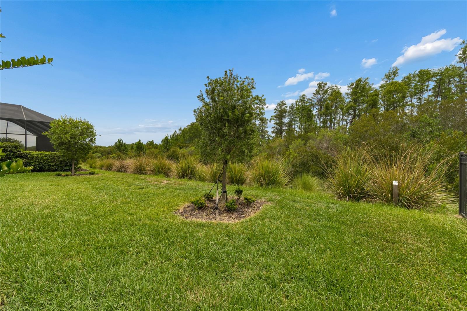 ESPLANADE/WIREGRASS RANCH PH I - Residential