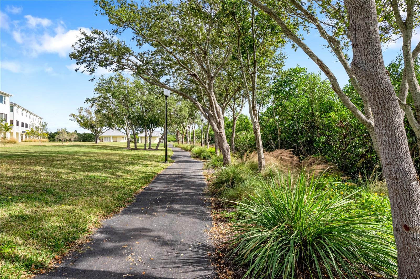 TOWNHOMES OF SEMINOLE ISLE - Residential