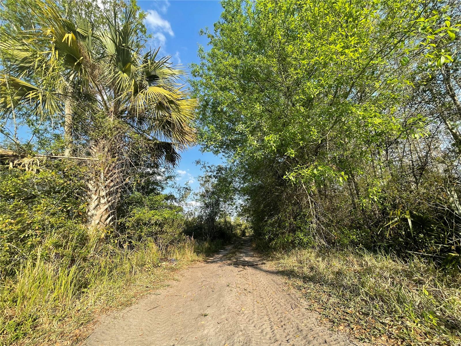CANAVERAL ACRES 3 - Land