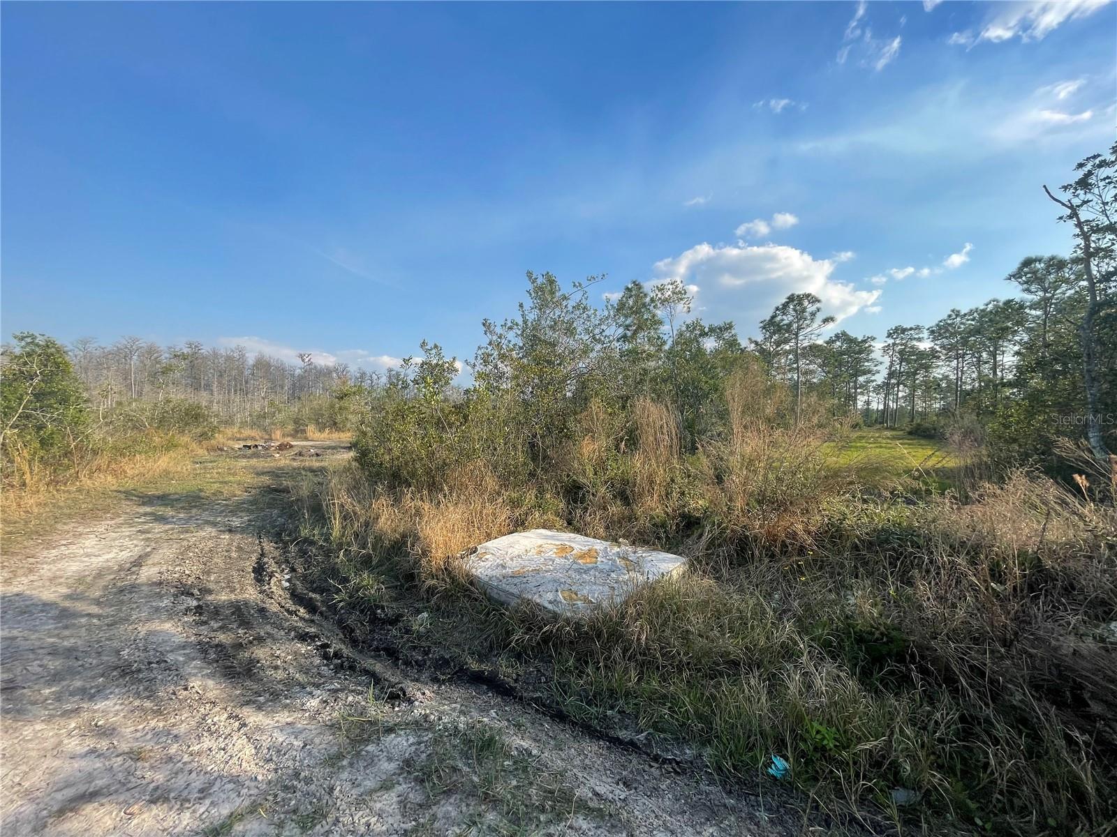 No HOA and large lot.  Located close to town and offers privacy and seclusion on a large 1.25 acre lot.  This property is landlocked and not buildable.  The property is located down the path off the main road. There is a tremendous amount of new grown around this community.  The community offers a park with tennis courts, basketball courts, walking trails, a playground and pavilions.  If you are ready for peach and quiet, this is the suitable land for you.  Buyers/Buyer's Agent to verify lot location, it's ability for building, zoning, tax information, and all measurements and details of the property.