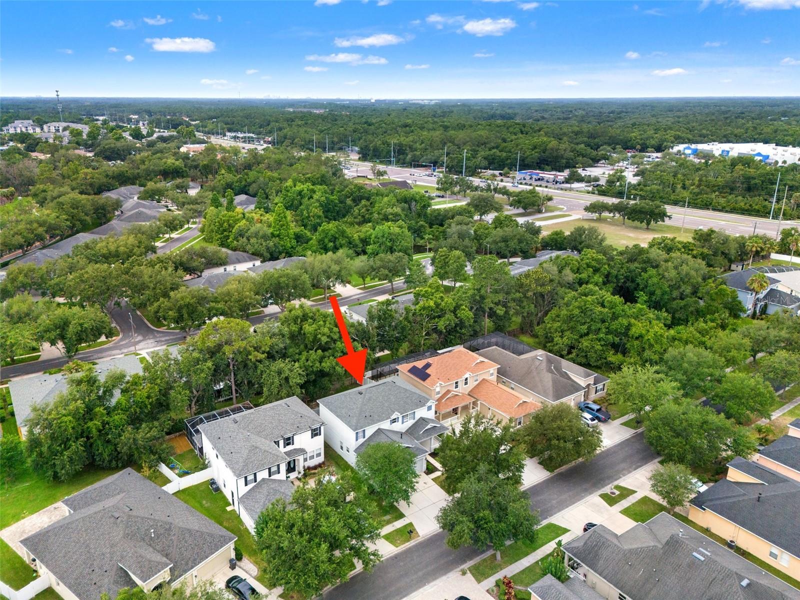 LIVE OAK PRESERVE - Residential
