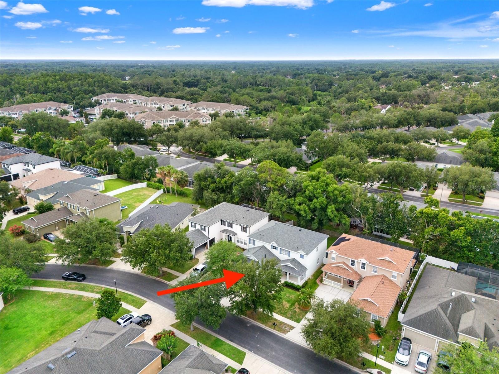 LIVE OAK PRESERVE - Residential