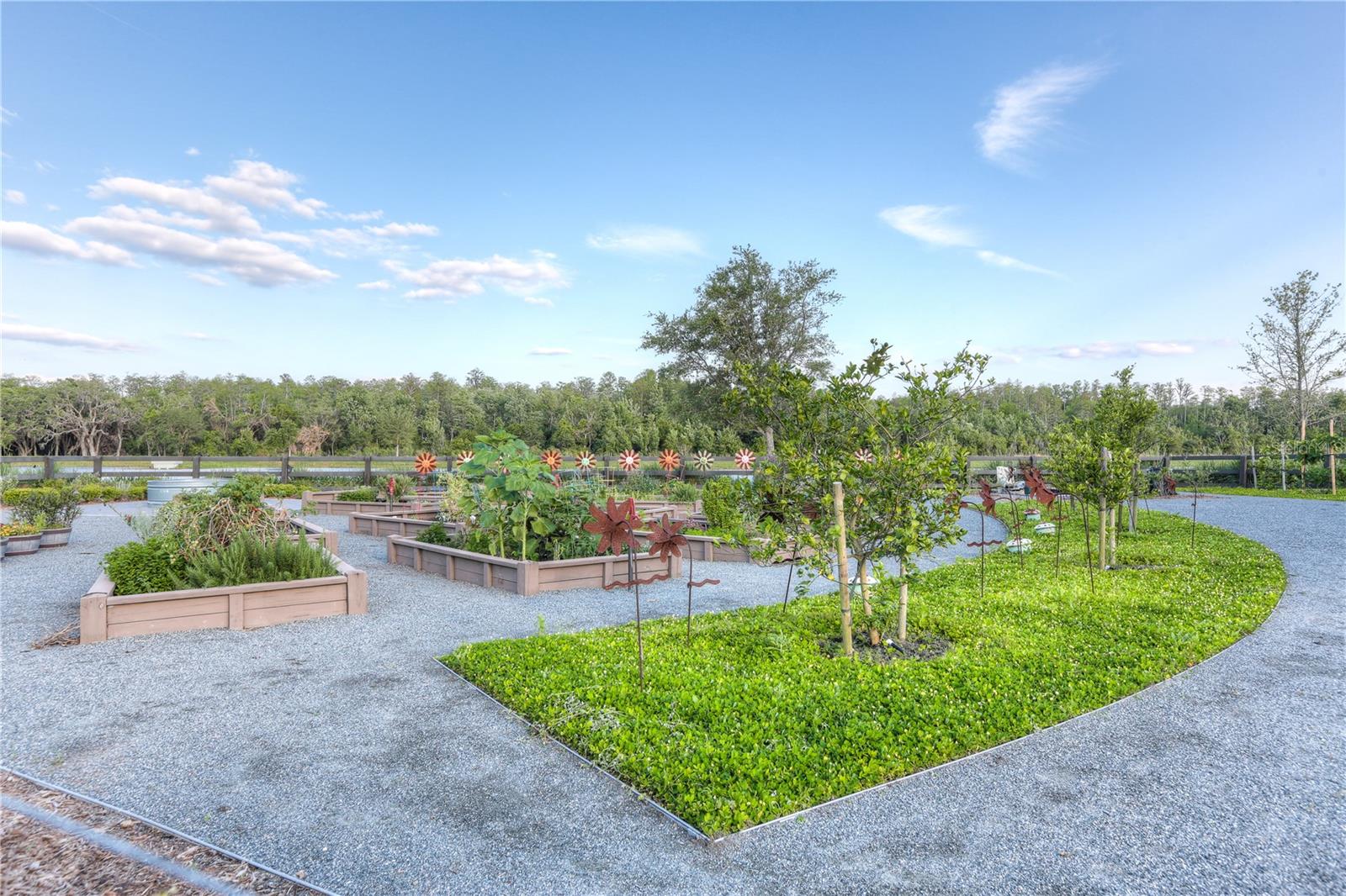 LAUREATE PARK - Residential