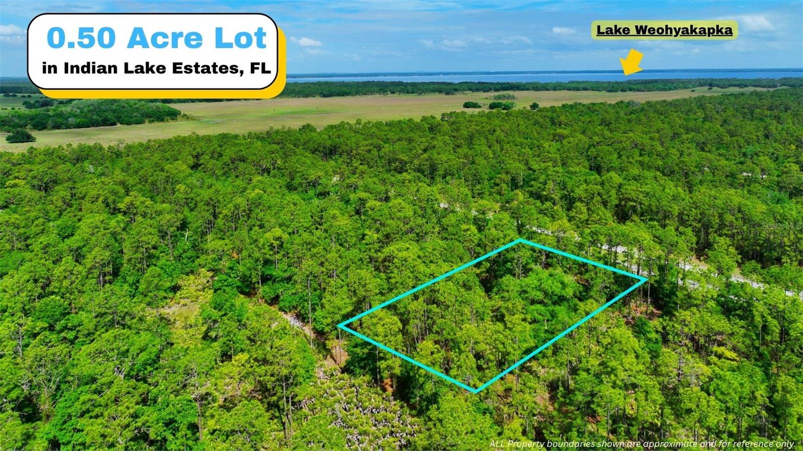 SELLER FINANCING AVAILABLE! Vacant residential lot located at Japonica Ave, Indian Lake Estates, FL 33855. Situated within a platted subdivision with road access and proximity to Hwy 60 for travel to surrounding areas. The property is located near Lake Weohyakapka and within the Indian Lake Estates community. Environmental survey available. Buyer to verify all property details including zoning, utilities, access, and future use.