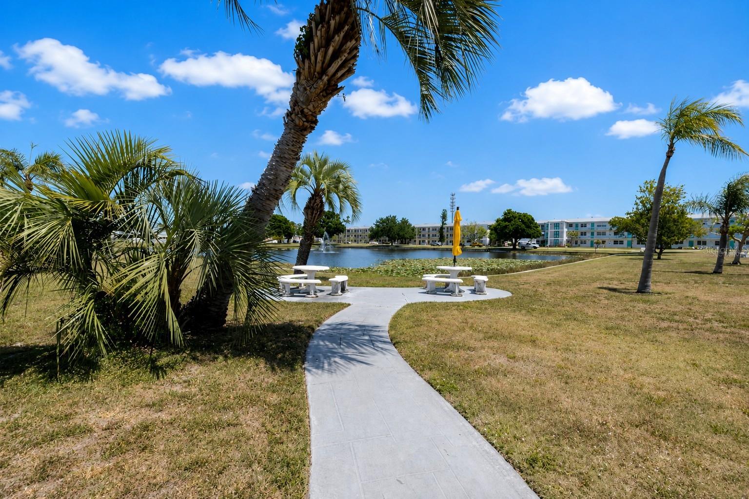 TOWN APTS CONDO - Residential