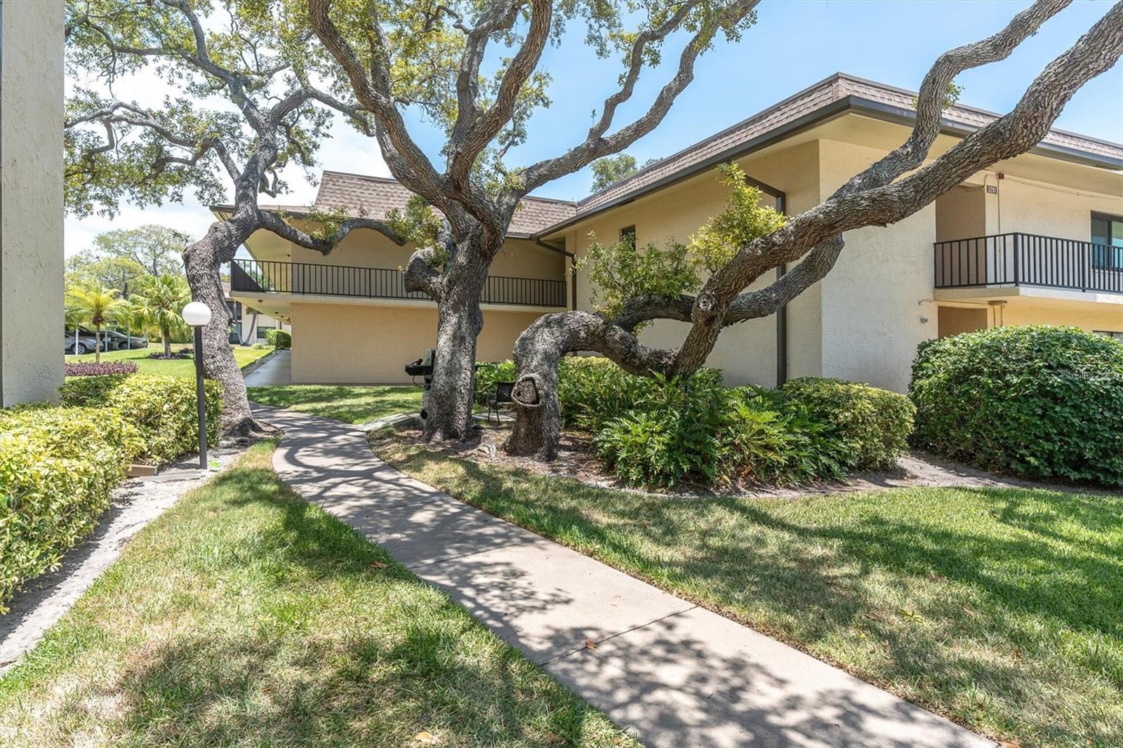 WELCOME to this BEAUTIFULLY FURNISHED FIRST-FLOOR CONDO situated adjacent to the GOLF COURSE in the highly desirable VILLAS DE GOLF, a vibrant 55+ resort-style community. This move-in-ready home offers 2 BEDROOMS, each with its own ENSUITE BATHROOM, providing comfort and privacy for both owners and guests. Primary Bath features a WHIRLPOOL JETTED WALK- IN TUB/SHOWER.
The SPACIOUS KITCHEN features AMPLE CABINETRY, QUARTZ COUNTERTOPS WATERFALL AND BACKSPLASH, NEWER STAINLESS STEEL APPLIANCES, a NEW STAINLESS STEEL SINK and faucet, BREAKFAST BAR, and a cozy DINETTE. The LARGE LIVING ROOM, accented by a classic tongue-and-groove ceiling, flows into a bright FLORIDA ROOM overlooking the HEATED POOL, with pool access just steps from your door.
Recent updates include a NEW HOT WATER HEATER, NEW ELECTRICAL PANEL, and NEW STORM DOOR. The condo also includes ASSIGNED COVERED PARKING.
The monthly maintenance fee covers cable, internet, water, sewer, trash, landscaping, building insurance, reserves, amenities, and more, making for easy, worry-free living.
MAJOR COMMUNITY IMPROVEMENTS HAVE ALREADY BEEN COMPLETED, including ROOFS, ELEVATORS, IRRIGATION, ELECTRICAL SYSTEMS, CARPORTS, AND FULLY FUNDED RESERVES, giving buyers added peace of mind. Villas de Golf is a well-maintained, financially stable community known for its welcoming atmosphere.
Residents enjoy exceptional amenities including a HEATED POOL, TENNIS AND PICKLEBALL COURTS, SHUFFLEBOARD, CLUBHOUSE, SOCIAL ACTIVITIES,  and BBQ AREAS.
Ideally located just 10 MINUTES from Florida's BEAUTIFUL GULF BEACHES, you'll also be close to shopping, restaurants, parks, the Southwest Recreation Complex, offering fitness facilities, classes, and year-round activities and the LARGO GOLF COURSE.
Whether you're searching for a full-time residence or the perfect seasonal getaway, this condo delivers the ideal combination of comfort, convenience, and carefree Florida living. FURNISHINGS ARE INCLUDED, so simply pack your suitcase and start enjoying your new home.